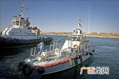 中国海域有海盗吗,中国十大濒危物种鱼类？
