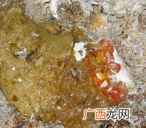 拉血便是怎么回事,牛犊便血但不拉稀是什么病，如何治疗？