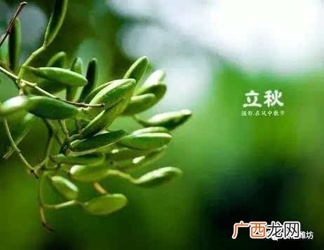 立秋注意啥,天津立秋气候注意什么?