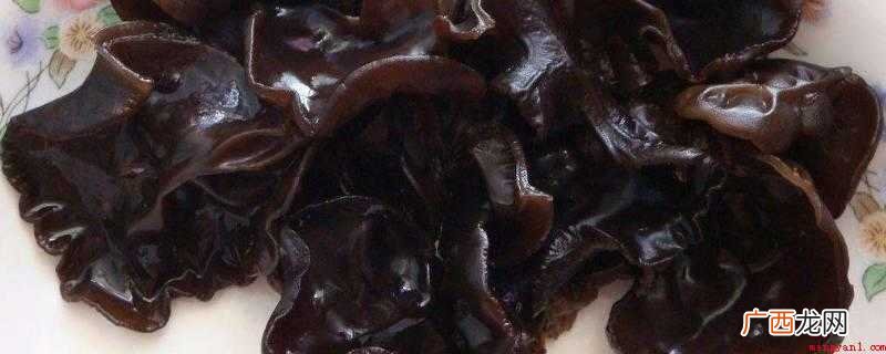 100克水发木耳的热量
