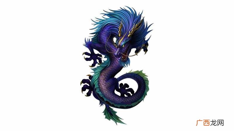 龙与狗相冲吗