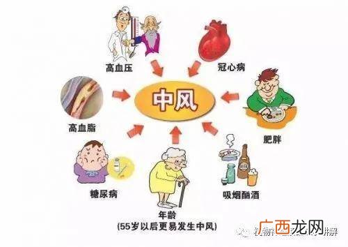 头晕吃什么食物好,头晕吃什么能补,需要做点什么应对措施吗?