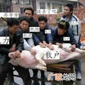 杀猪盘是什么意思,网络杀猪是什么意思？