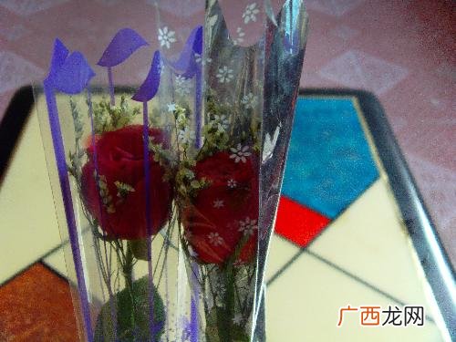 怎么养玫瑰花啊,玫瑰花在水里怎么养殖？