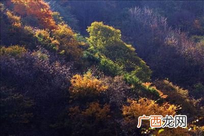 人文生态环境的保护范围,小区人文环境包括哪些方面？