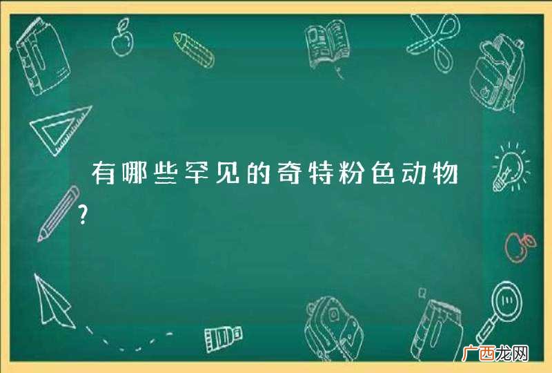 有哪些罕见的奇特粉色动物?