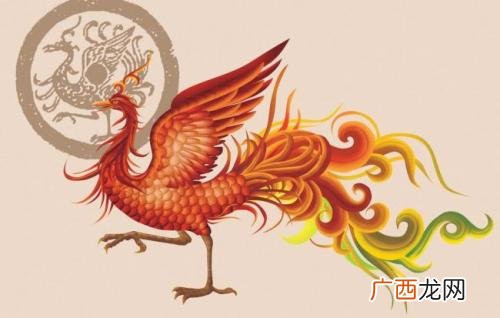 凤凰是什么动物,凤凰是什么动物？