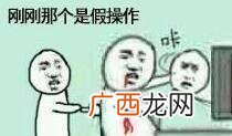 抱什么意思什么梗,抱举是什么意思？