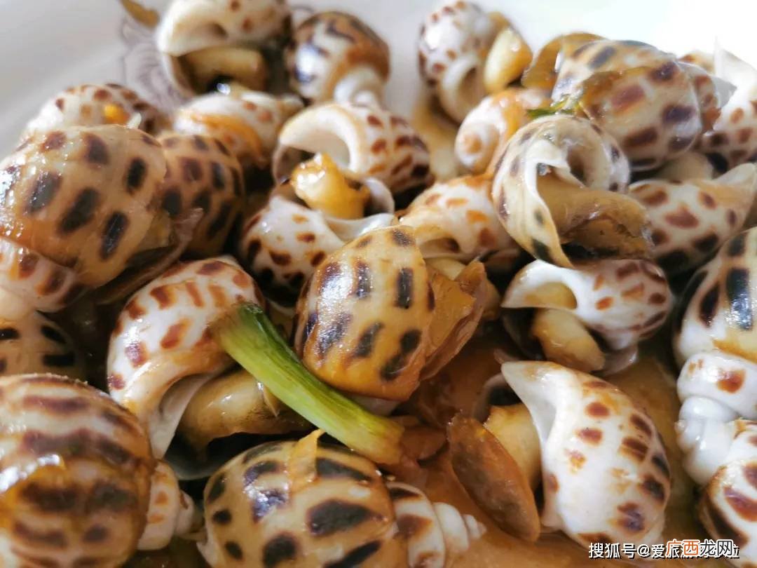 花螺哪里不能吃,花螺底部可以吃吗？