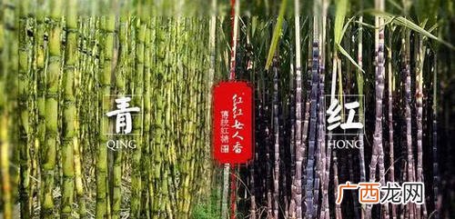 红甘蔗和绿甘蔗的区别,红甘蔗怎么挑选？