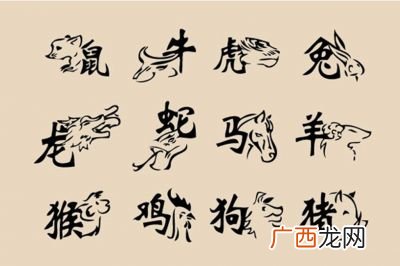 才人是什么生肖,佳成一唱好才文指什么生肖？
