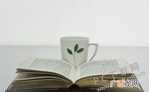 brave什么意思,勇敢无畏歌词？