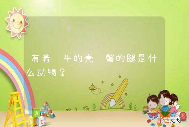 有着蜗牛的壳螃蟹的腿是什么动物？