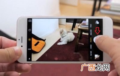 photo是什么意思,photo是什么意思？