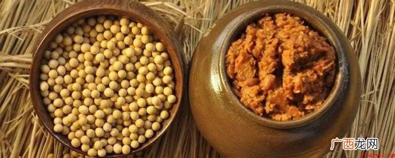 烧哪些菜需要放黄豆酱