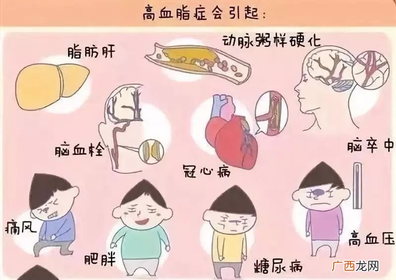 血脂是什么意思,血脂是指什么？