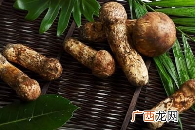 松茸怎么做好吃,松茸家常做法？
