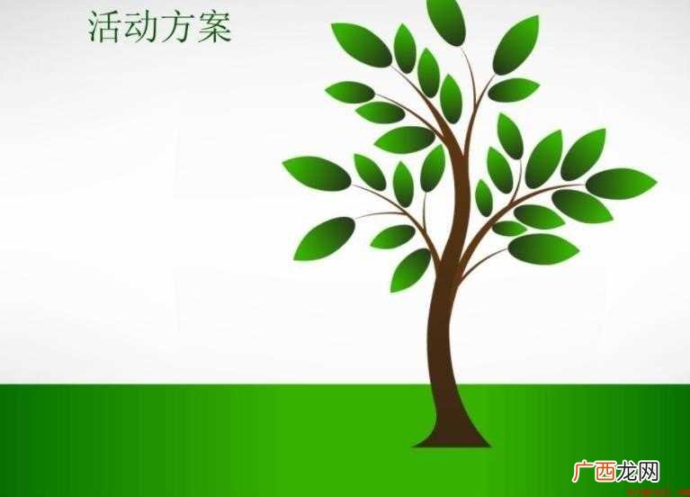 活动策划案有哪些要点