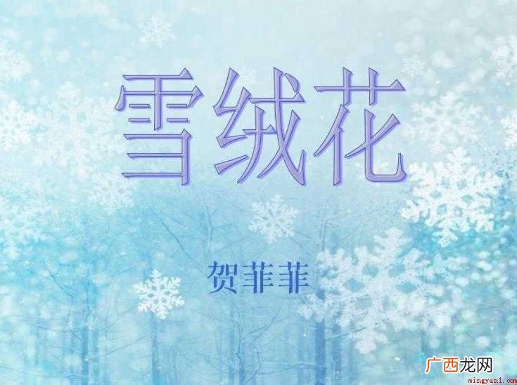 《雪绒花》歌词是什么 雪似的花朵深情开放 《雪绒花》歌词是什么