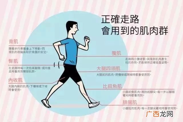 6000步大概多少公里,6000步大约多少公里？