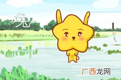 1999年属什么生肖,1999年是哪个属相年？