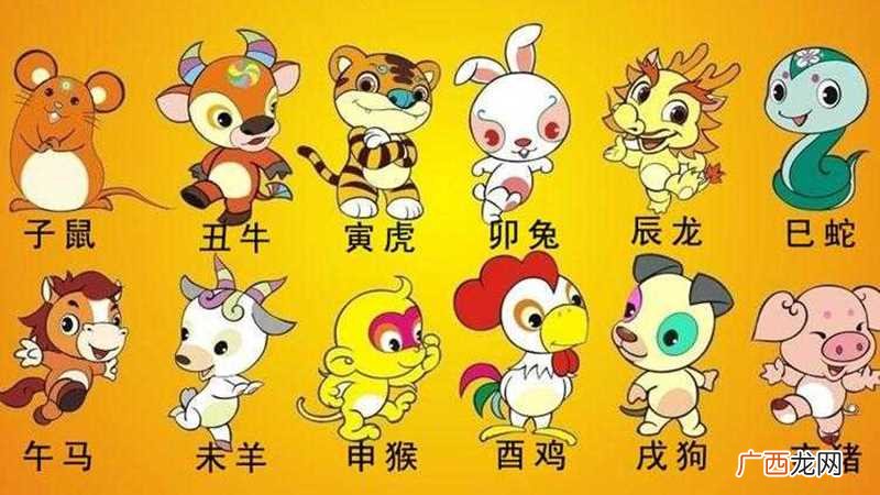 十二生肖花名有这样的记载 十二生肖花名是什么