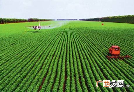 关于微生物在环境保护中的作用,微生物在人类生活中得到了哪些应用？