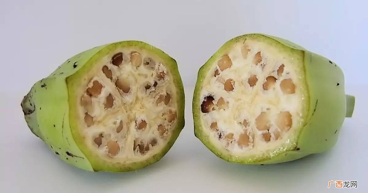 香蕉有种子吗香蕉的种子是什么,香蕉为什么没有籽，那它靠什么繁殖？