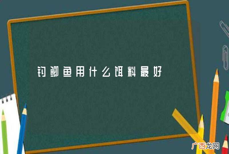 钓鲫鱼用什么饵料最好