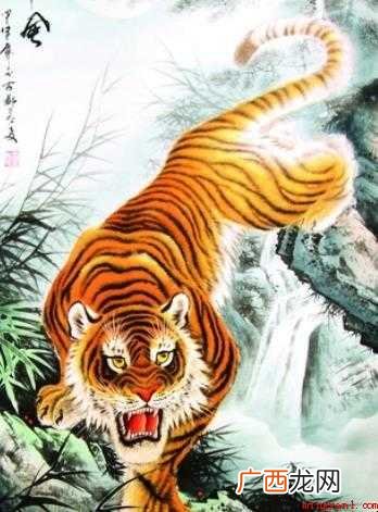 猛虎下山是什么意思 拼音是mng h xi shn 猛虎下山是什么意思