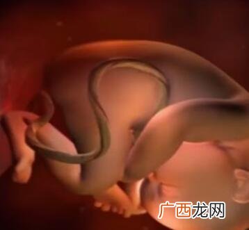 怀孕多少周足月,怀宝宝几周算足月？