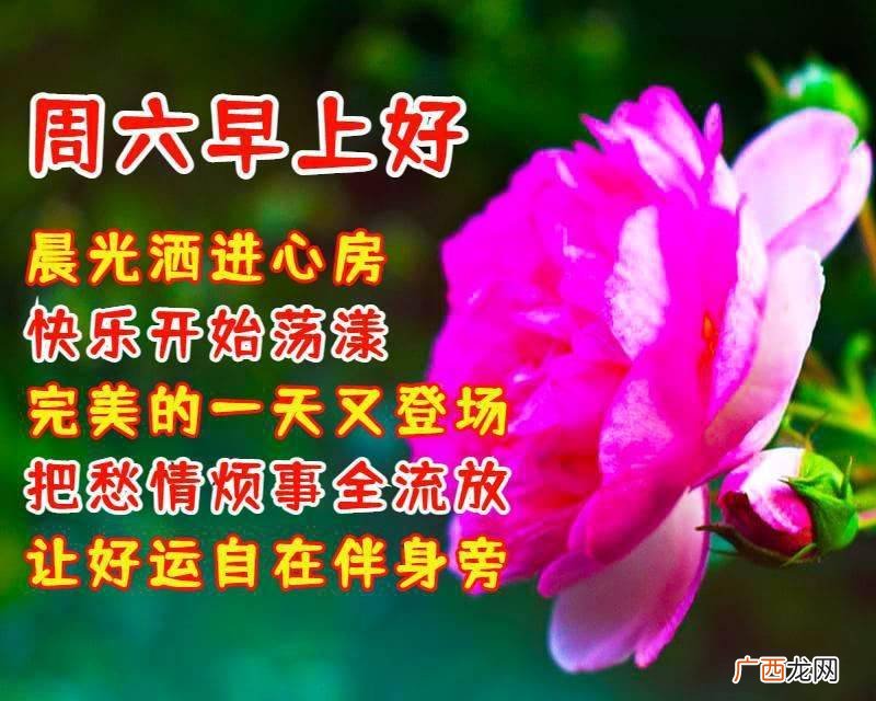 每日清晨祝福语,清晨祝福语暖心？