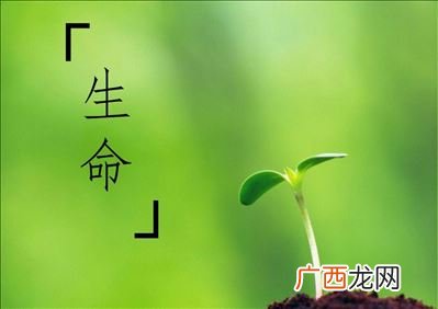 生命的意义是什么,生命的意义如何？
