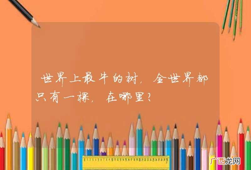 世界上最牛的树，全世界都只有一棵，在哪里？