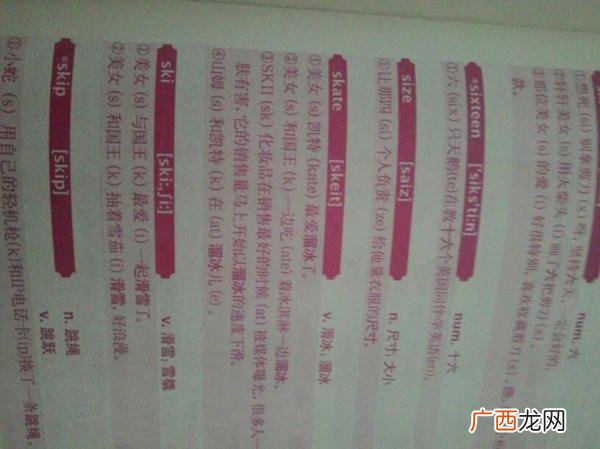 skate是什么意思,skating的中文意思是什么？