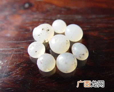 什么叫舍利桩,黄荆树桩舍利疙瘩是怎么形成的？