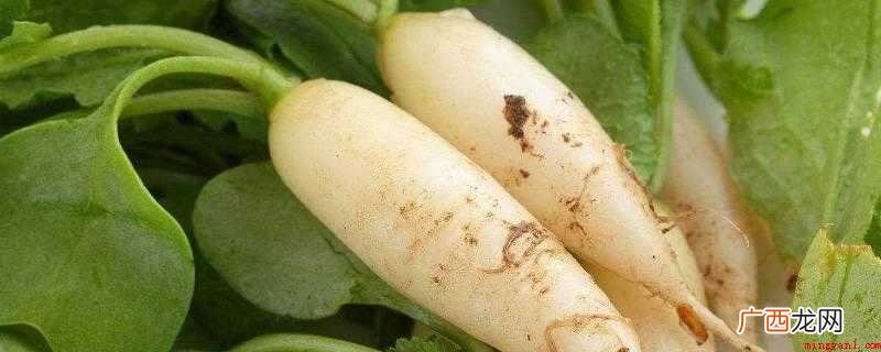 吃萝卜多久才能吃桔子