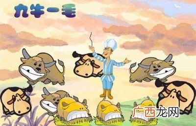 九牛一毛是什么生肖,九牛一毛猜一生肖？