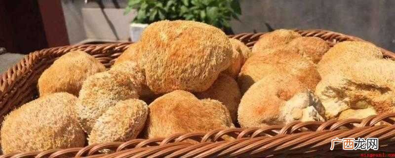 猴头菇变褐色还能吃吗