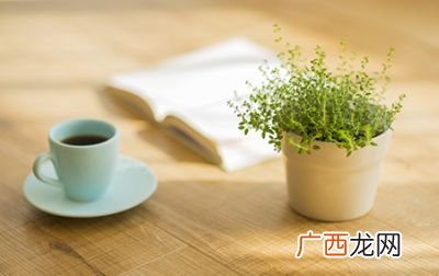 78年属什么,78年属什么的生肖？