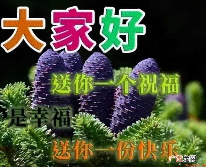 问候语及关心话有哪些