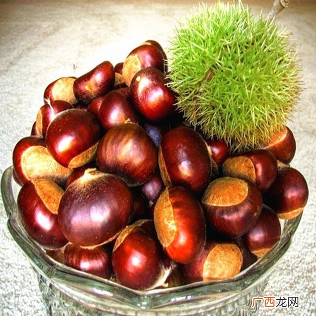 板栗热量高吗,坚果热量排行列表？