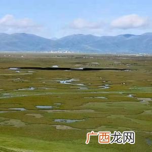 玛曲县景点,若尔盖景区包括松州古城吗？