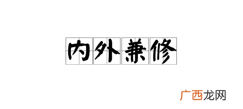 内外兼修是什么意思,形容内外兼修的成语？