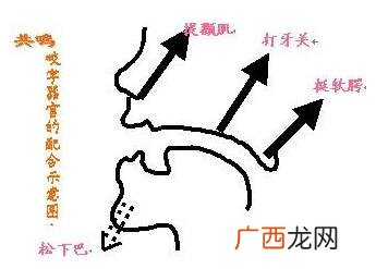 头腔共鸣怎么练,唱歌时怎样才能有胸腔共鸣，口腔共鸣、头腔共鸣？