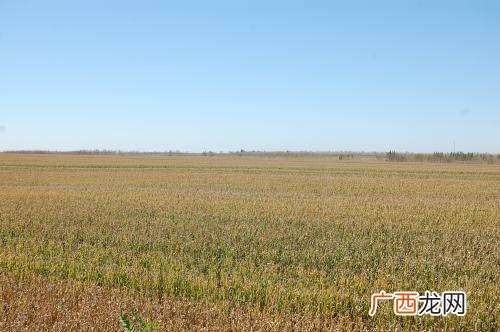 1亩地等于多少平方米,公顷、亩、公亩、平方米之间如何换算？