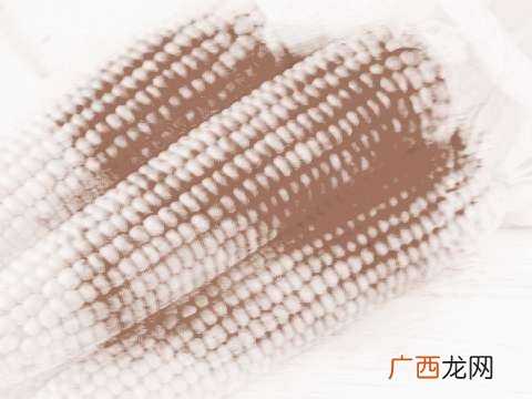玉米是什么意思,玉米的声调？