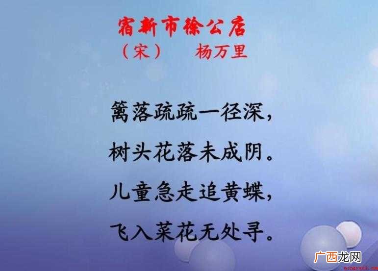 《宿新市徐公店》古诗意思是什么
