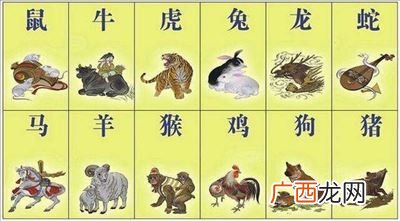 1933年属什么生肖,金指什么生肖？