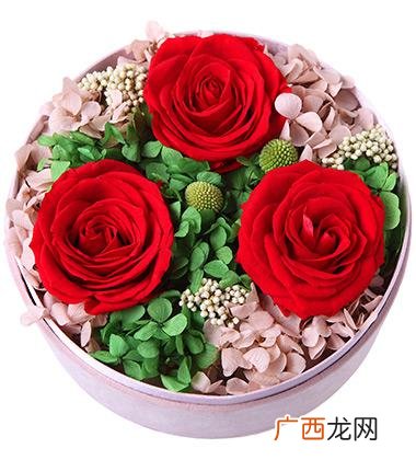 七朵玫瑰花的花语是什么,七枝花代表什么意思？